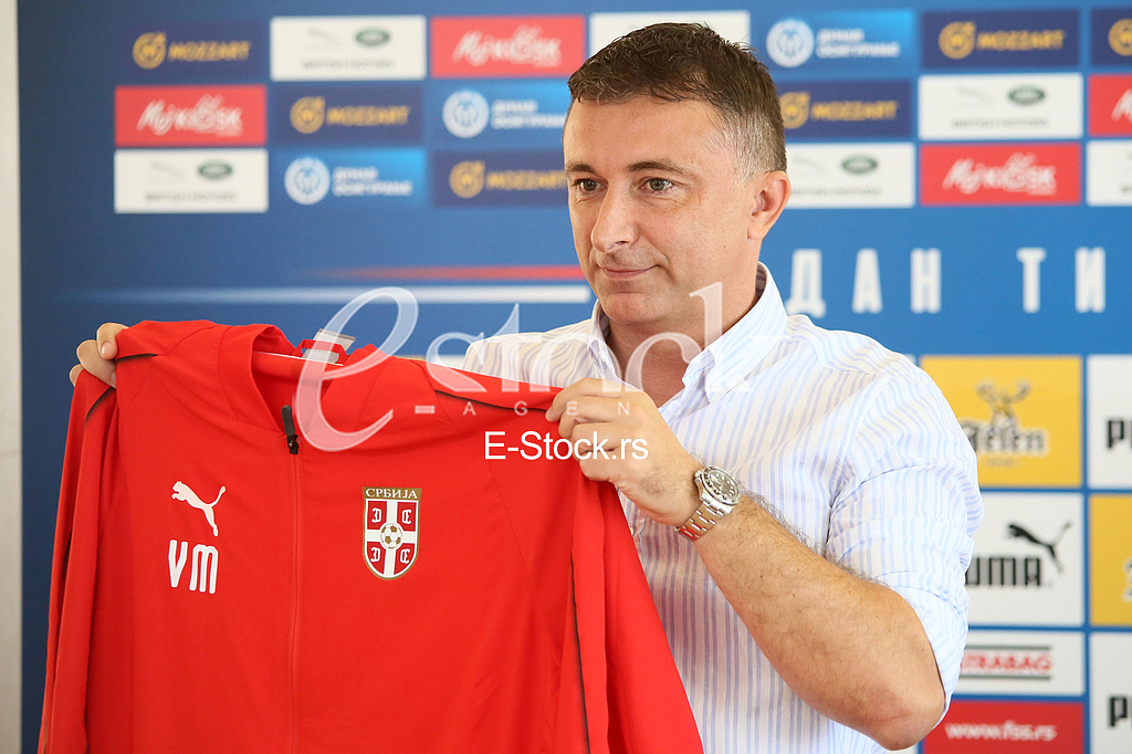 Vladimir Matijasevic