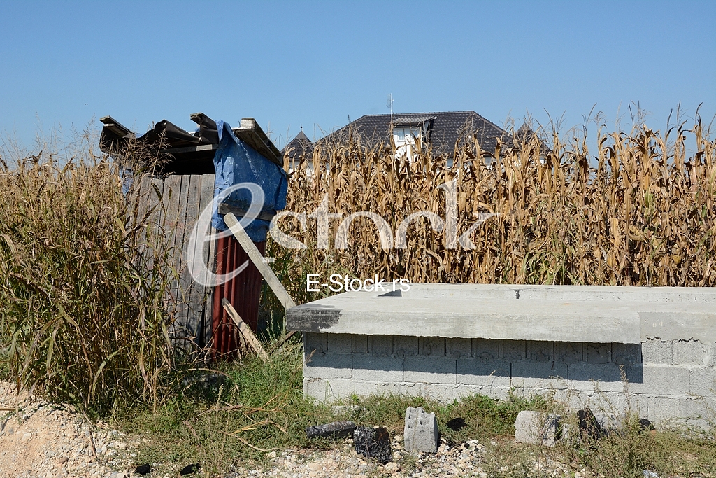 House of singer Seka Aleksic in the middle of a corn field in Stara Pazova
