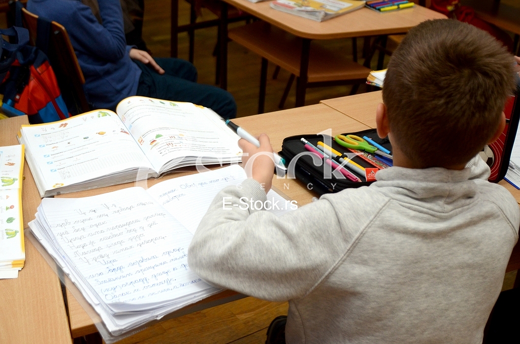 The elementary school Vuk Karadzic
