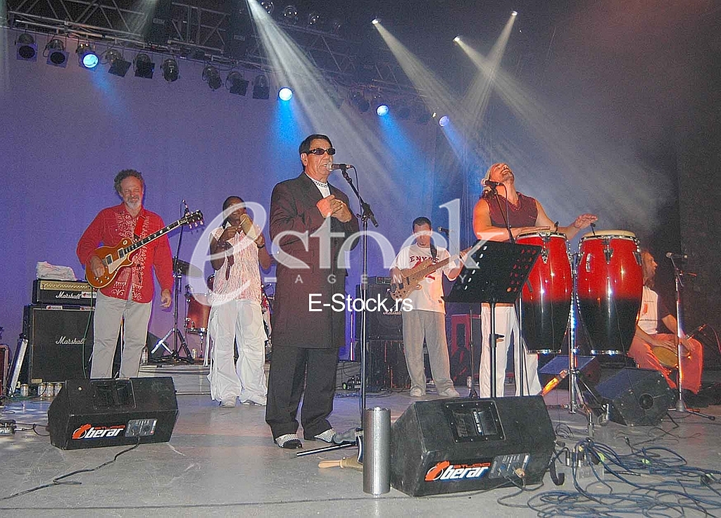 Saban Bajramovic