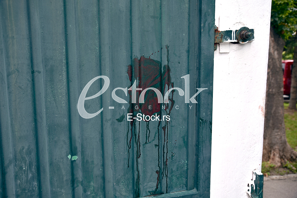 A citizen of Bosnia and Herzegovina, Marko Radovic, was killed in Sevina street in Zemun.