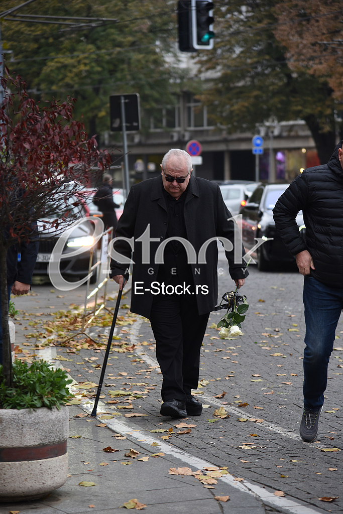 nenad canak