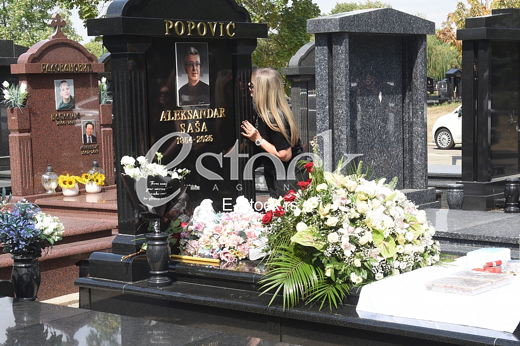 Suzana Jovanovic Danijel Jovanovic Aleksandra Popovic_Pomen Sasa Popovic Suzana Jovanovic Danijel Jovanovic Aleksandra Popovic_Pomen Sasa Popovic