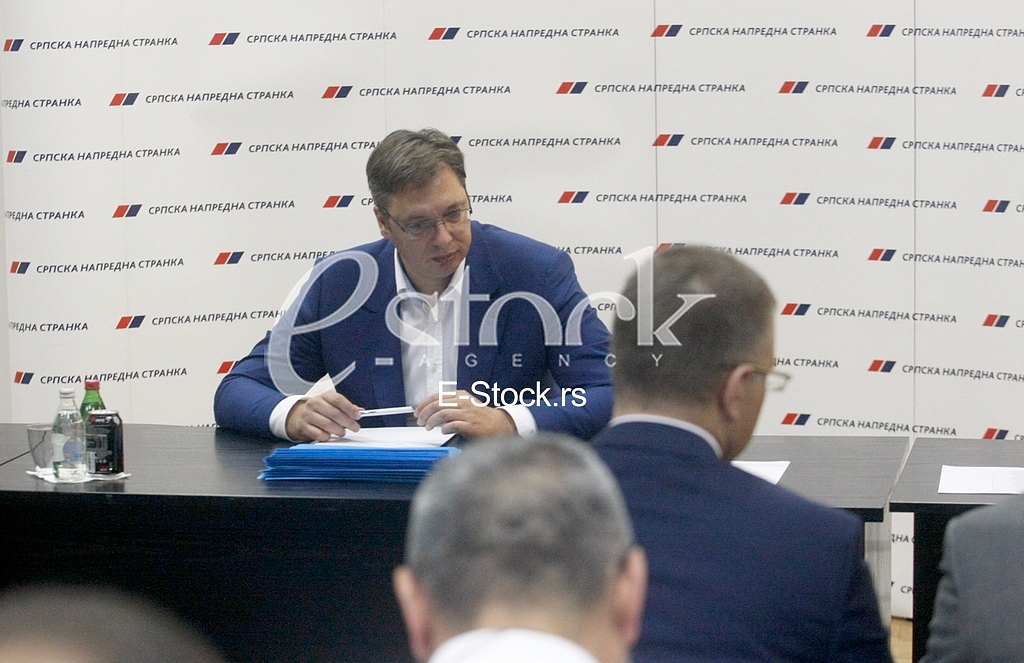 The session of the central committee SNS