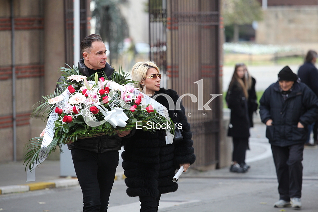 jovana jeremic dragan stankovic