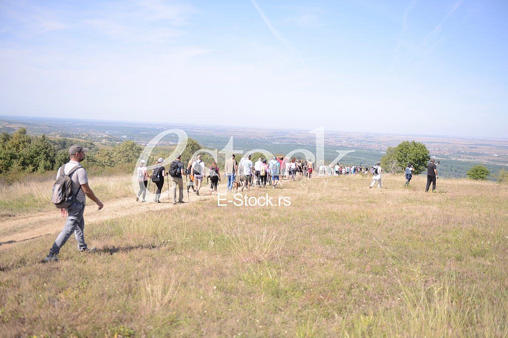 Protest Fruska Gora