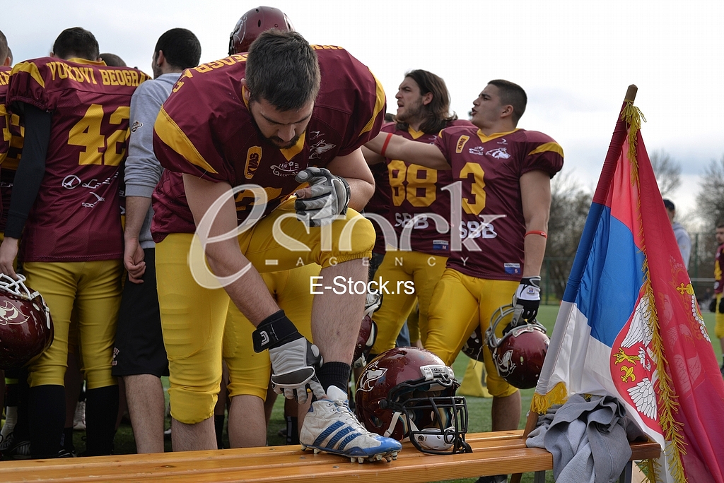 Derby between SBB Vukovi Beograd and Wild Boars Kragujevac