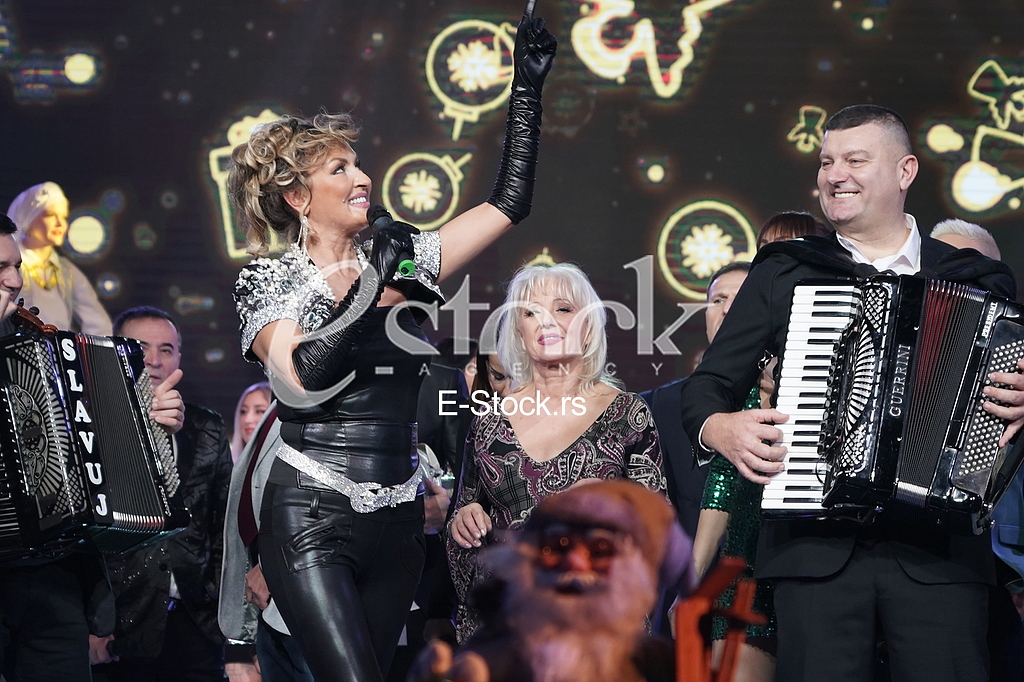 Snezana Babic Sneki