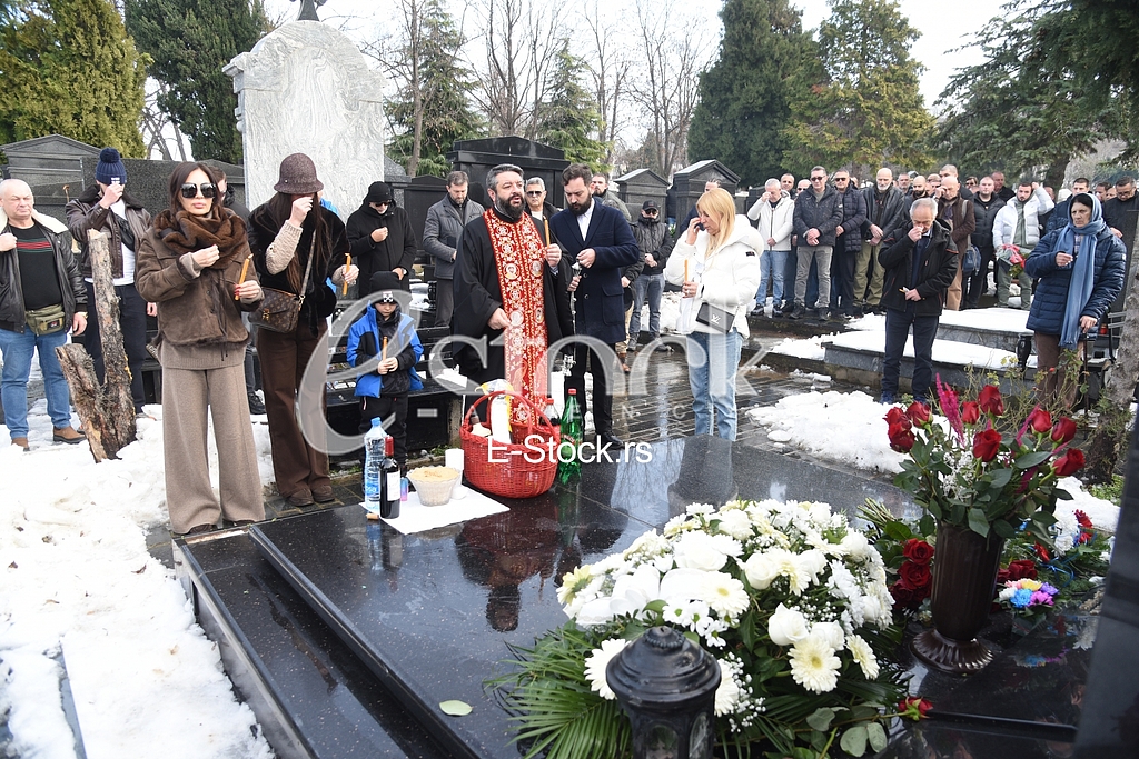 Ceca Raznatovic Bogdana Lidija Ocokoljic