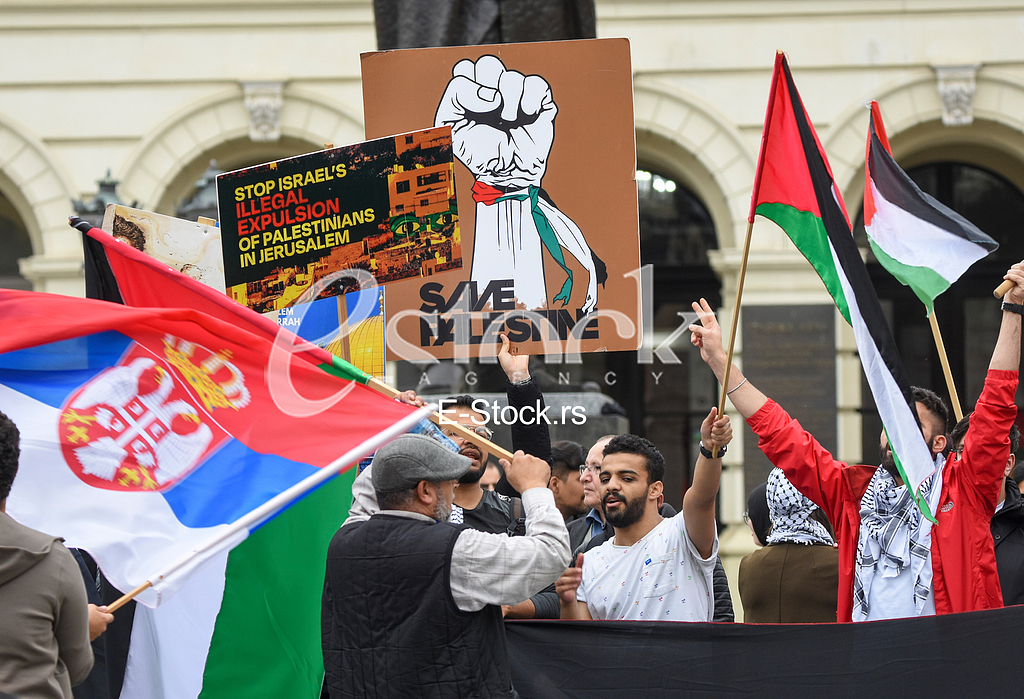 Protest podrske narodu Palestine
