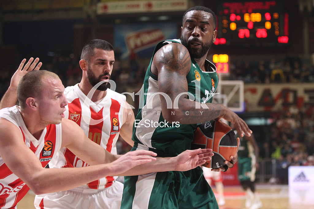 CRVENA ZVEZDA vs PANATHINAIKOS ATHENS