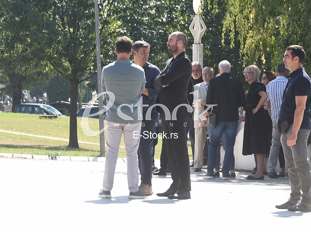 Slobodan Milenkovic Rade Bogdanovic