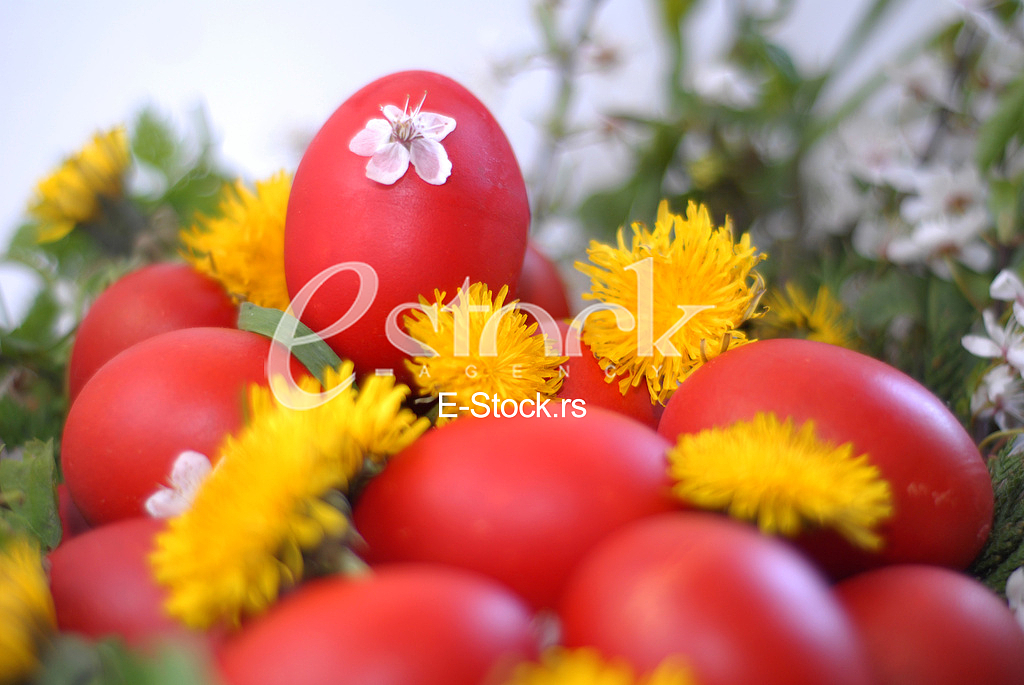 Dyeing of Easter egg