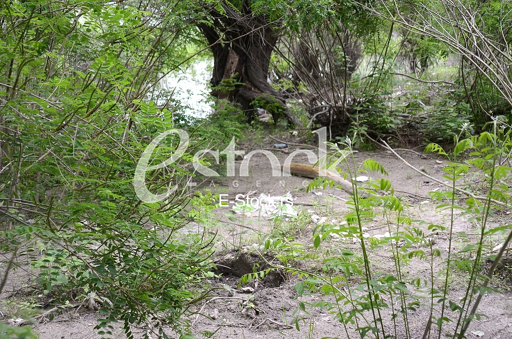 Place where he found the corpse of a Chinese citizen