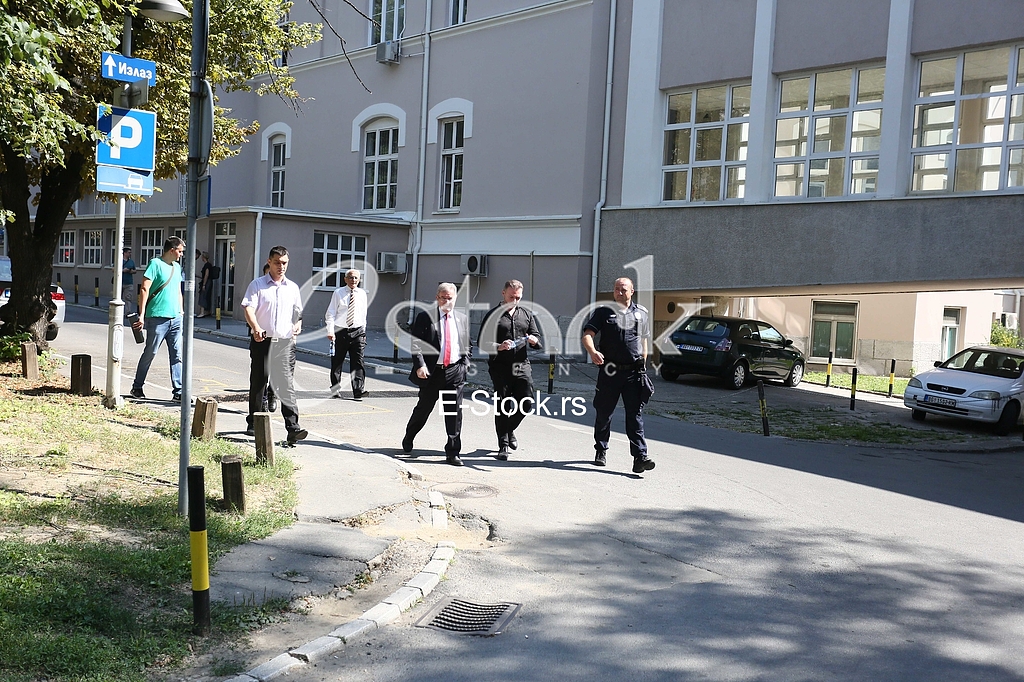 Dragomir Karic Simon de Karic