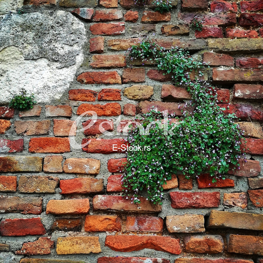 Kalemegdan - the wall