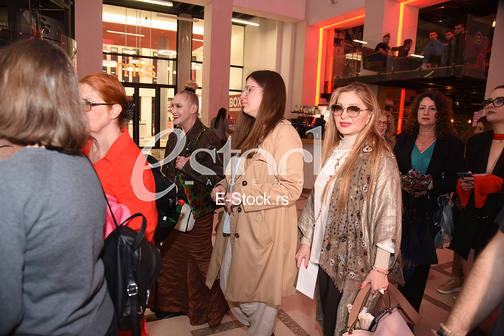 sonja vukicevic danica maksimovic