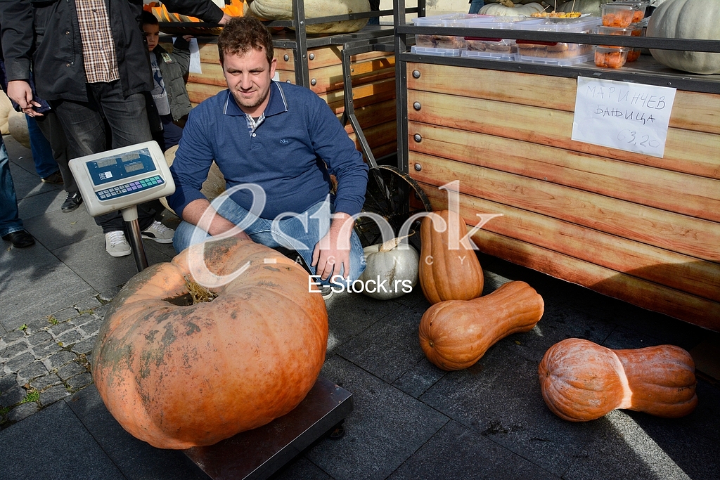 competition for the heaviest pumpkin, and for the most beautiful piece of pumpkin, market Zemun