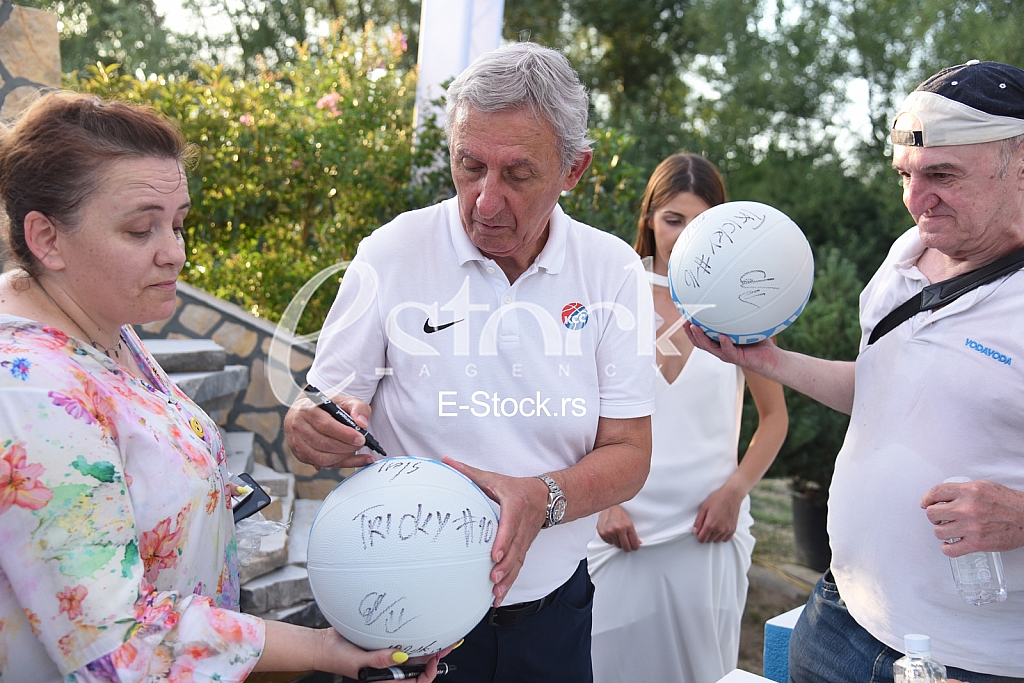 Svetislav Pesic Kobra