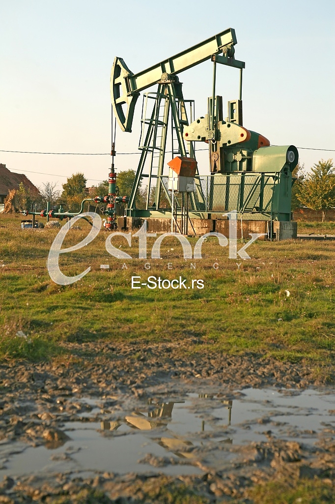 Oil