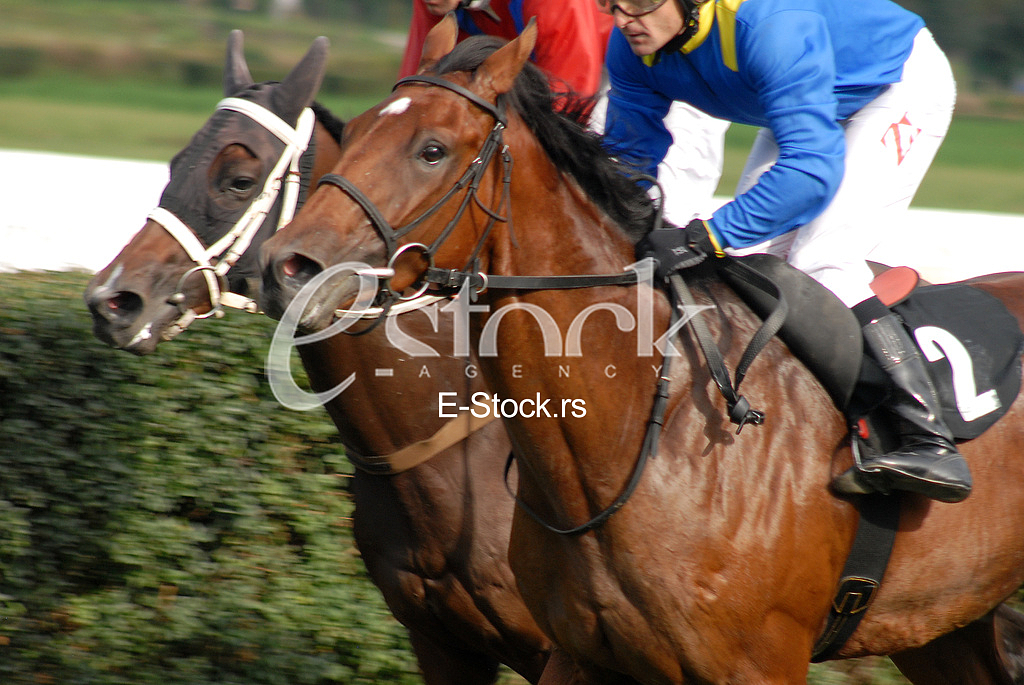 Ljubicevo Equestrian Games
