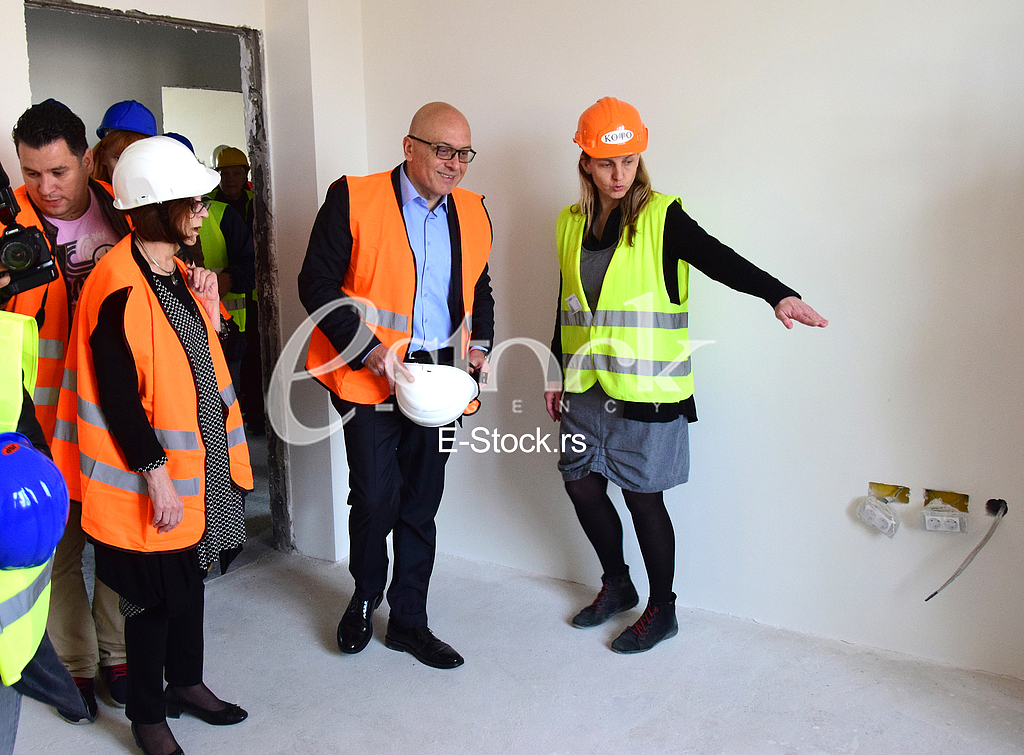  Restoration of the National Museum, Minister of culture Vladan Vukosavljevic