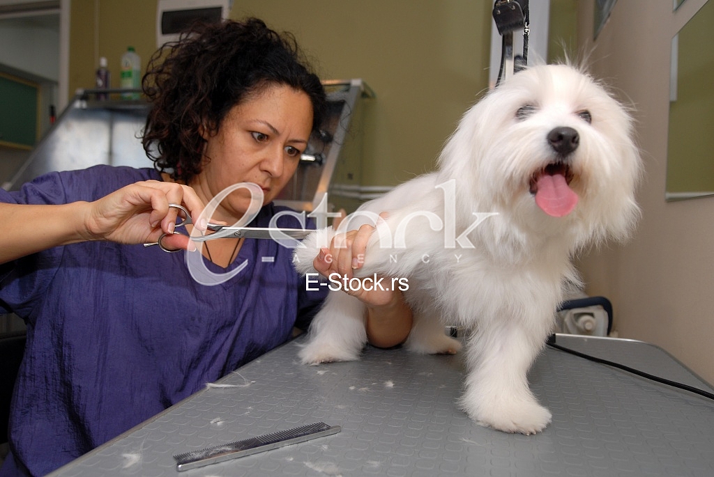 Grooming