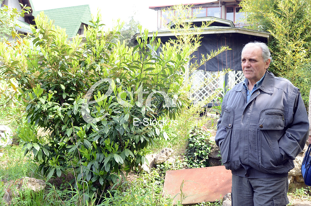 Zoran Veselinovic herbalist