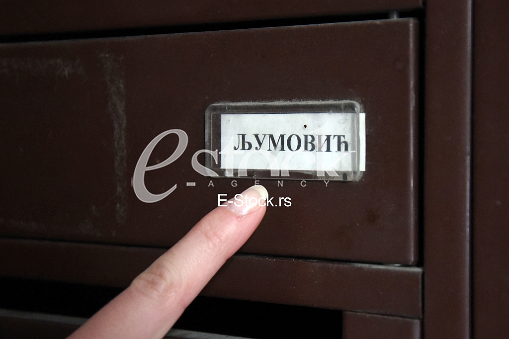 Branimir Ljumovic was killed in Resavska Street.
