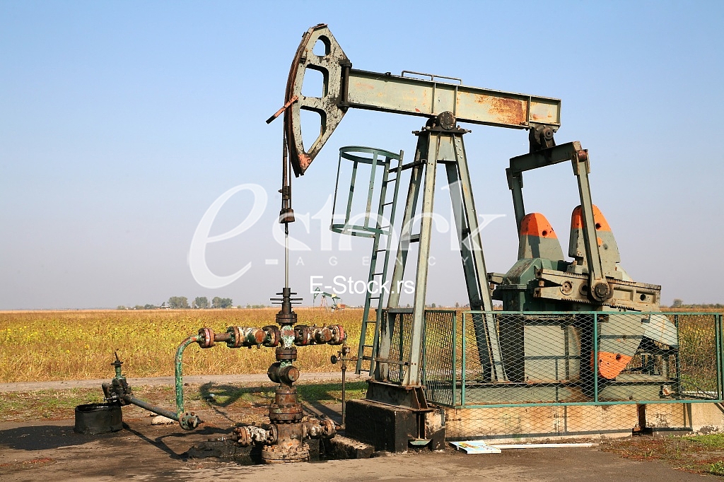 Oil