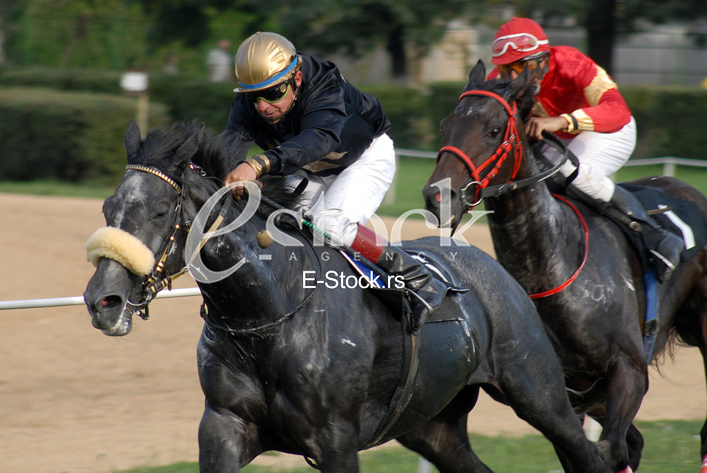 Ljubicevo Equestrian Games