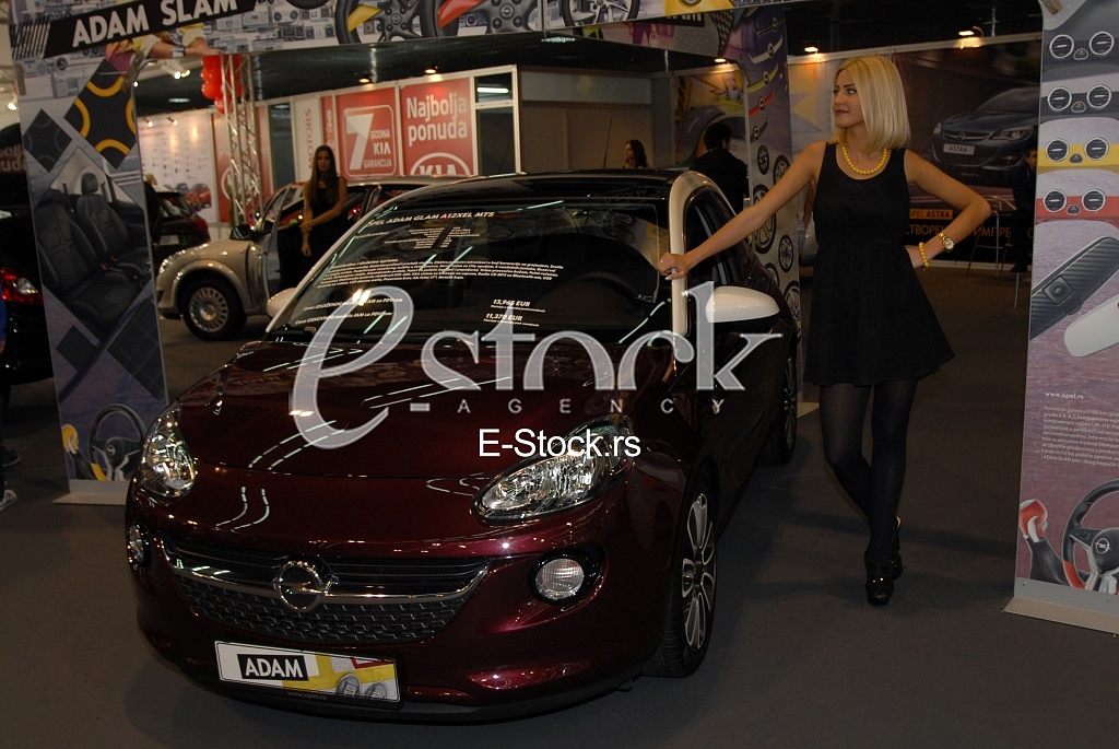 The Car Show