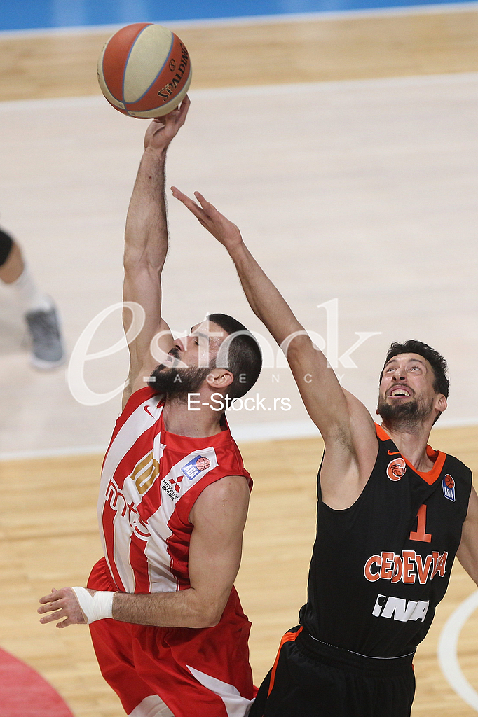 CRVENA ZVEZDA vs CEDEVITA ZAGREB
