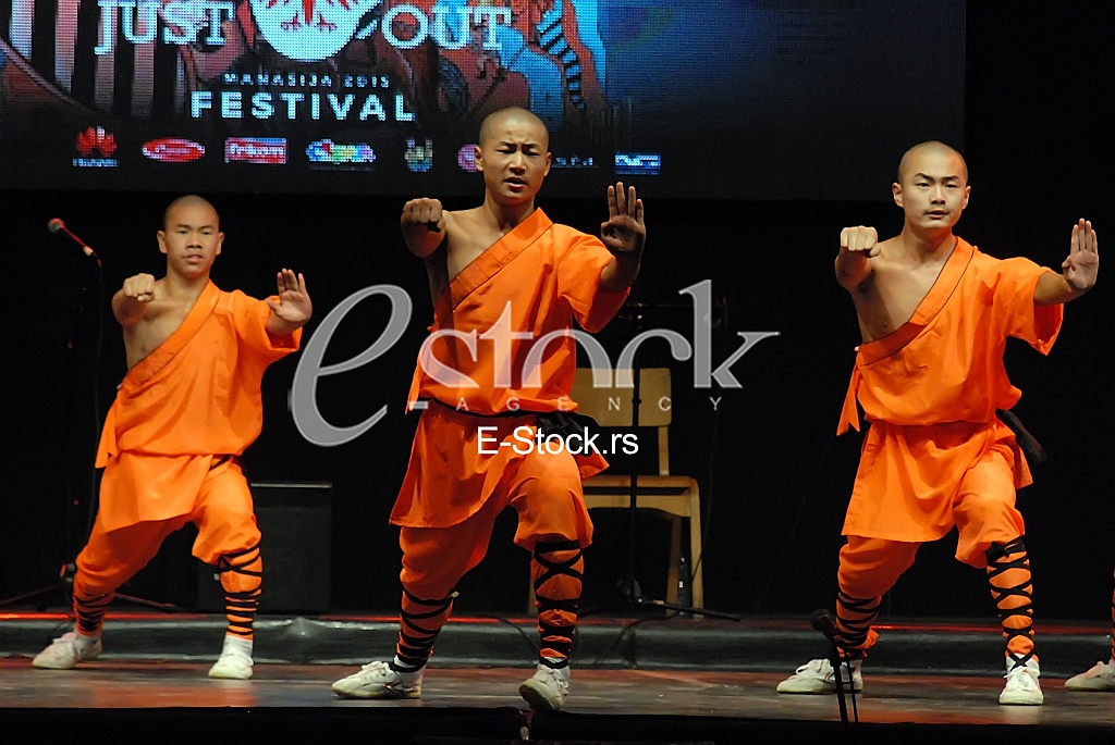 Festival of chivalry 