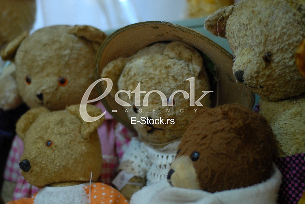 Exhibition teddy bears toys