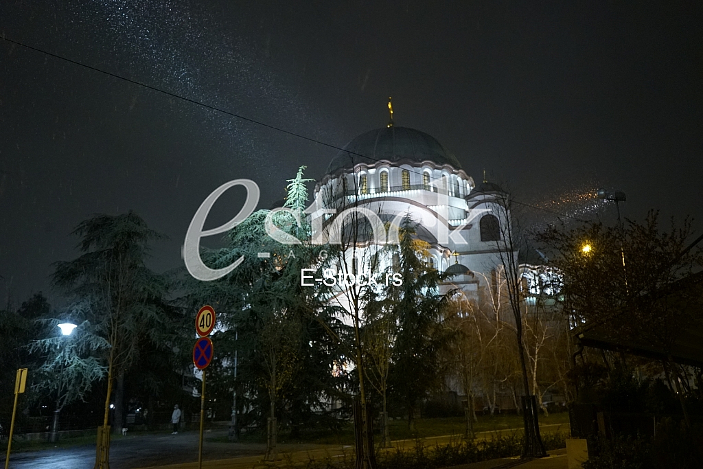 Koronavirus setnja ljubimca