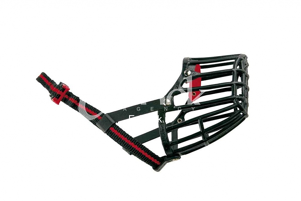 Dog basket bridle