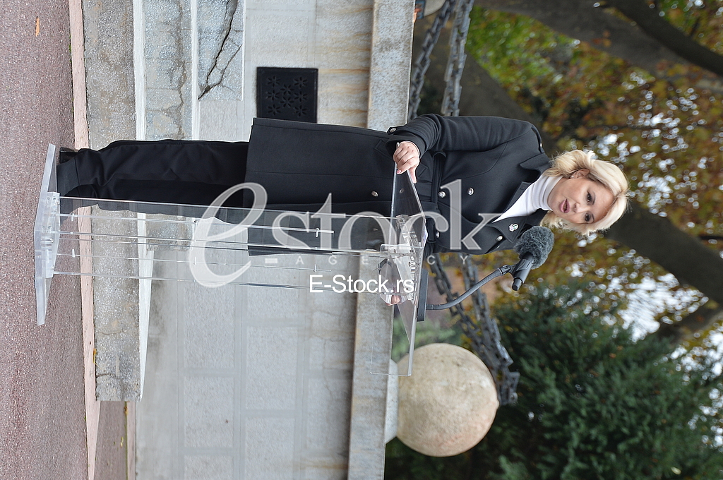 Darija Kisic Tepavcevic