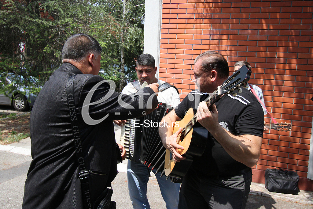 Zivoinovic i Projovic svadba