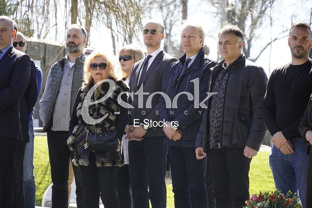 Balsa Bozovic, Slobodan Milosavljevic, Branislav Lecic