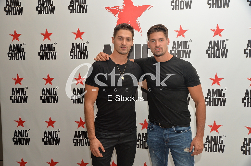 Stanoje i Stanko Budimkic