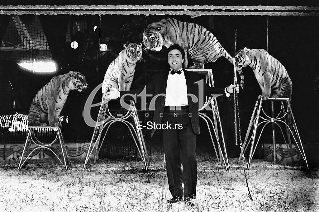 Circus