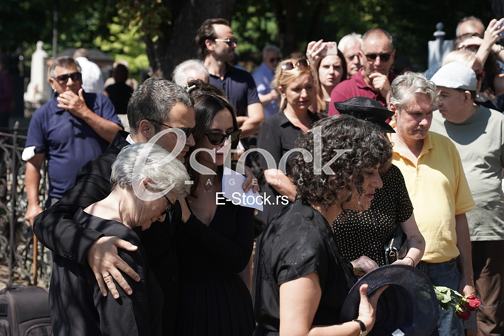 Porodica Branka Cvejica