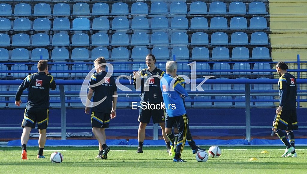 Training of Sweden national football