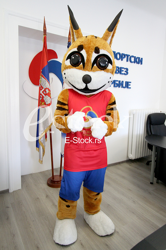 Presentation of the mascot 