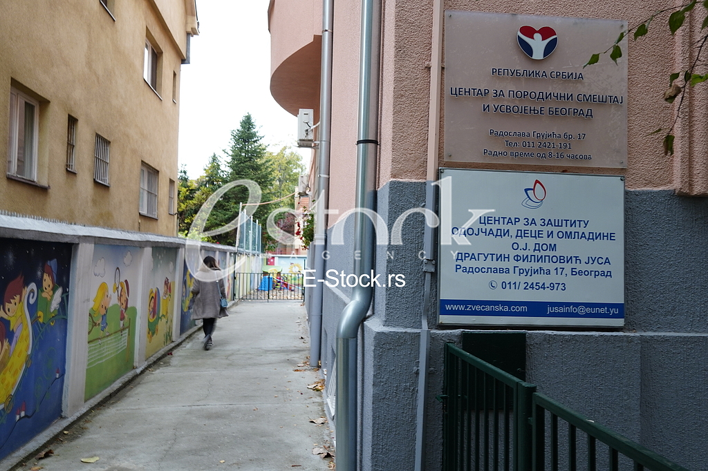 Dizni na ledu