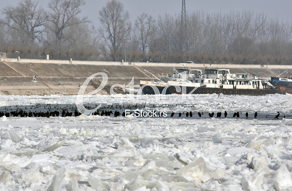 Zaledjen Dunav/ Frozen Danube