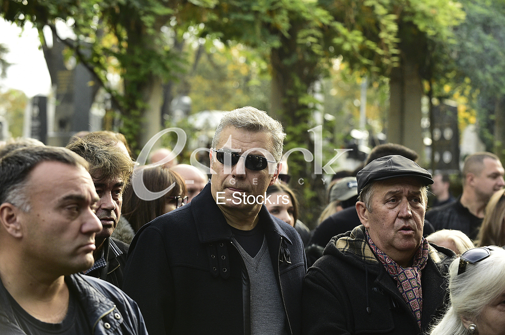 Dragoljub Ljubicic Micko