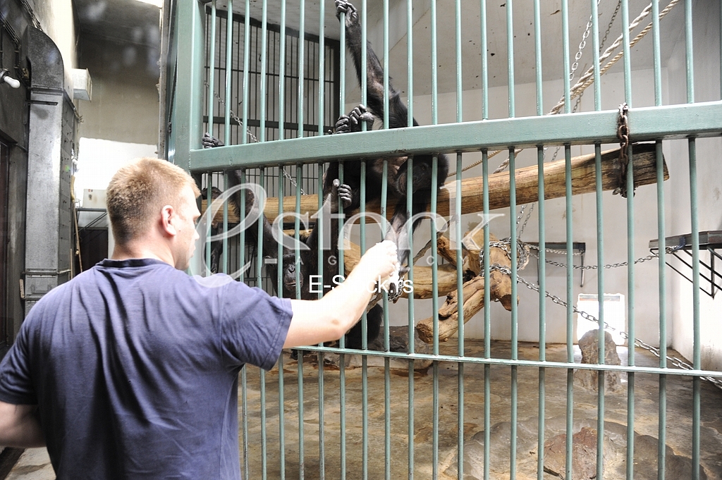 Belgrade zoo on summer day