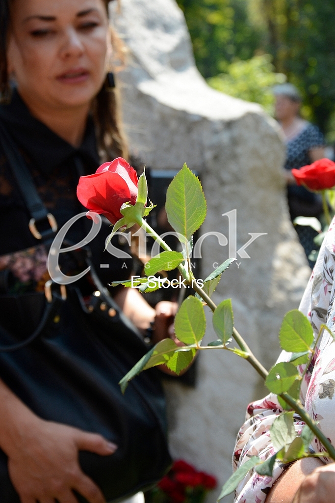Memories day of missing and suffered from Kosovo and Metohija